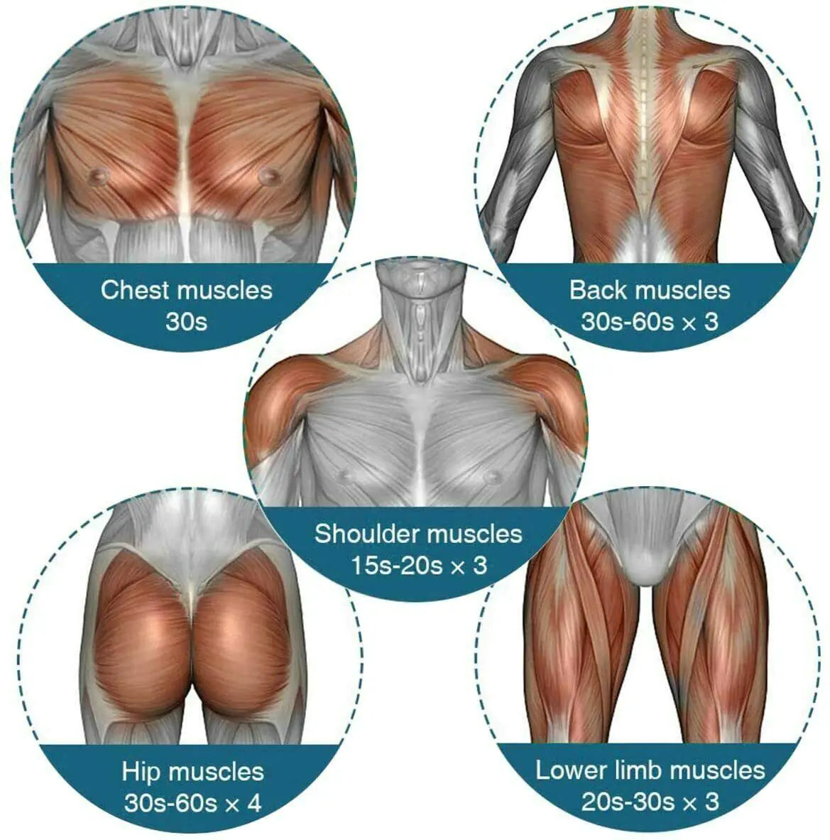 Massager Deep Tissue Muscle