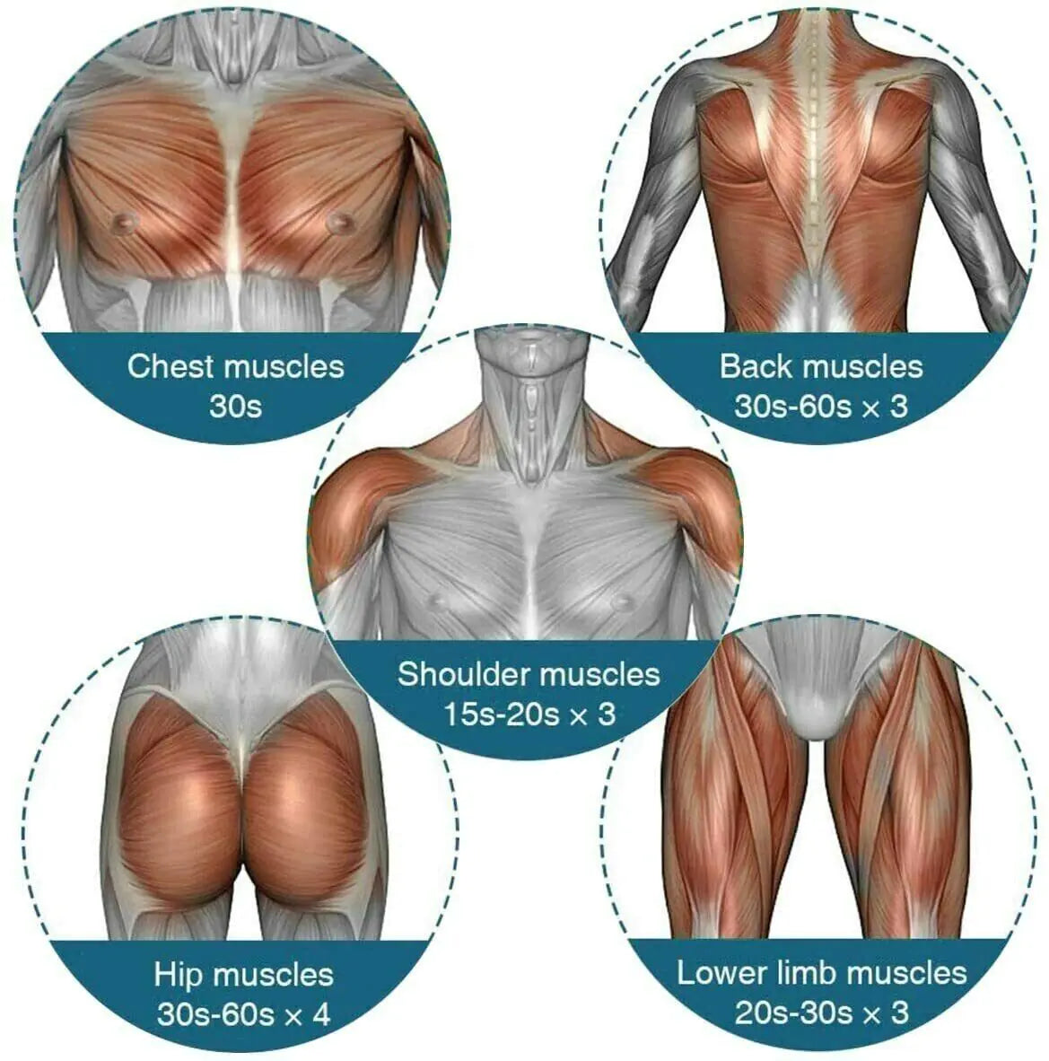 Massager Deep Tissue Muscle